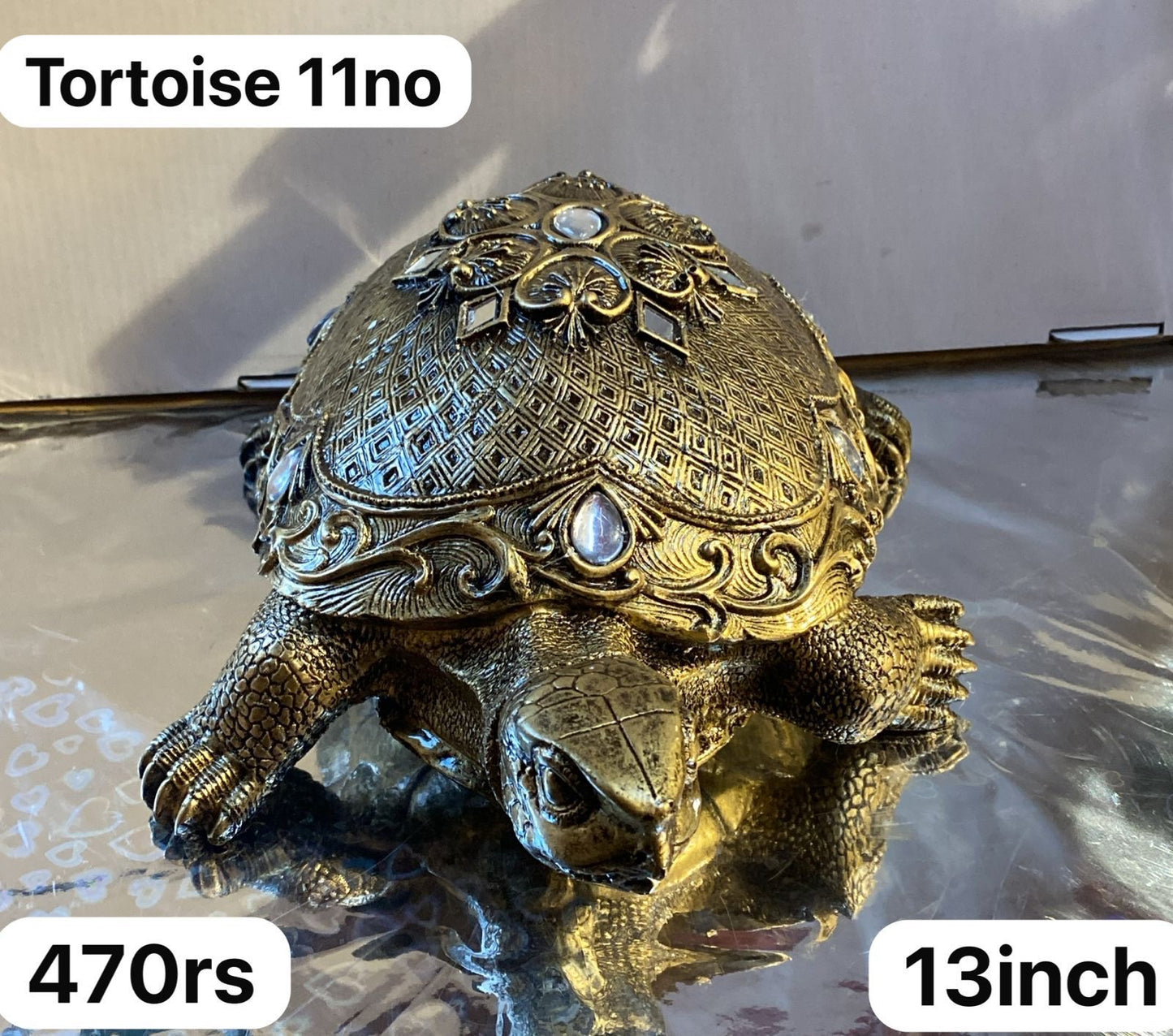 11no tortoise (13inch)