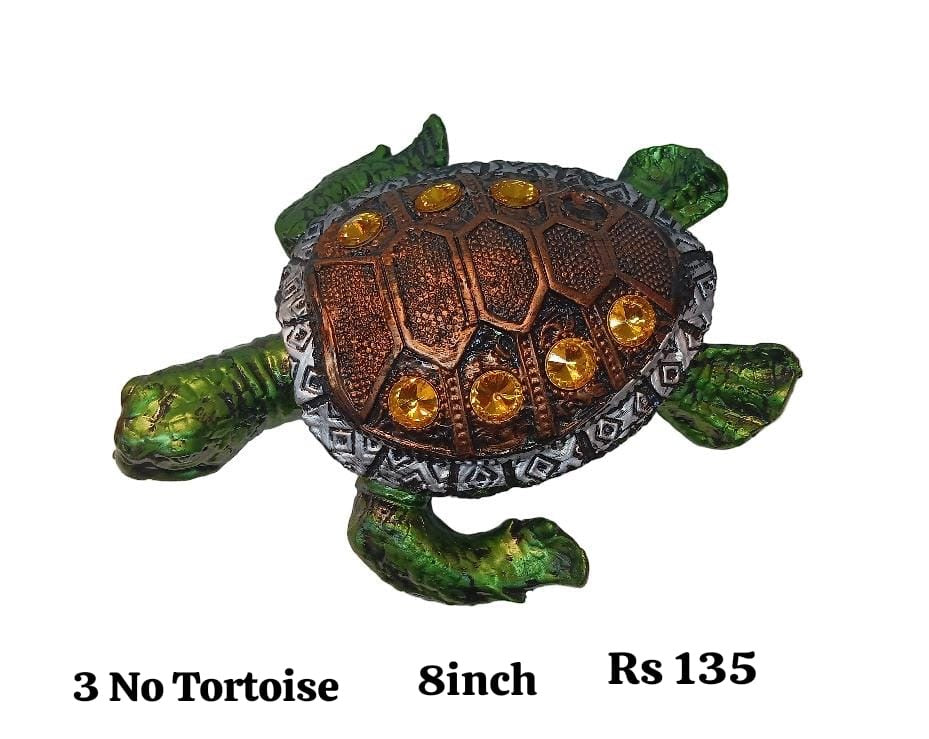 3no tortoise (8inch)