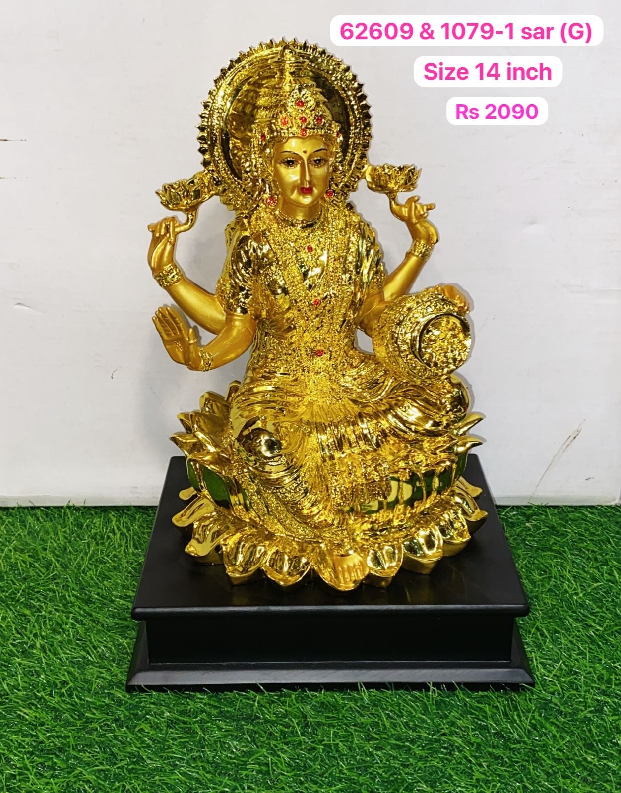 62609 & 1079-1(G) Laxmi (14inch)