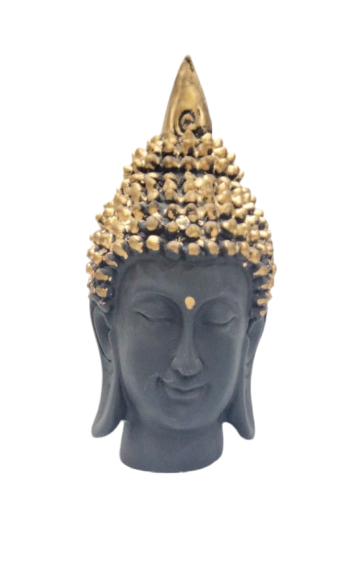 052 budh (7.5inch)