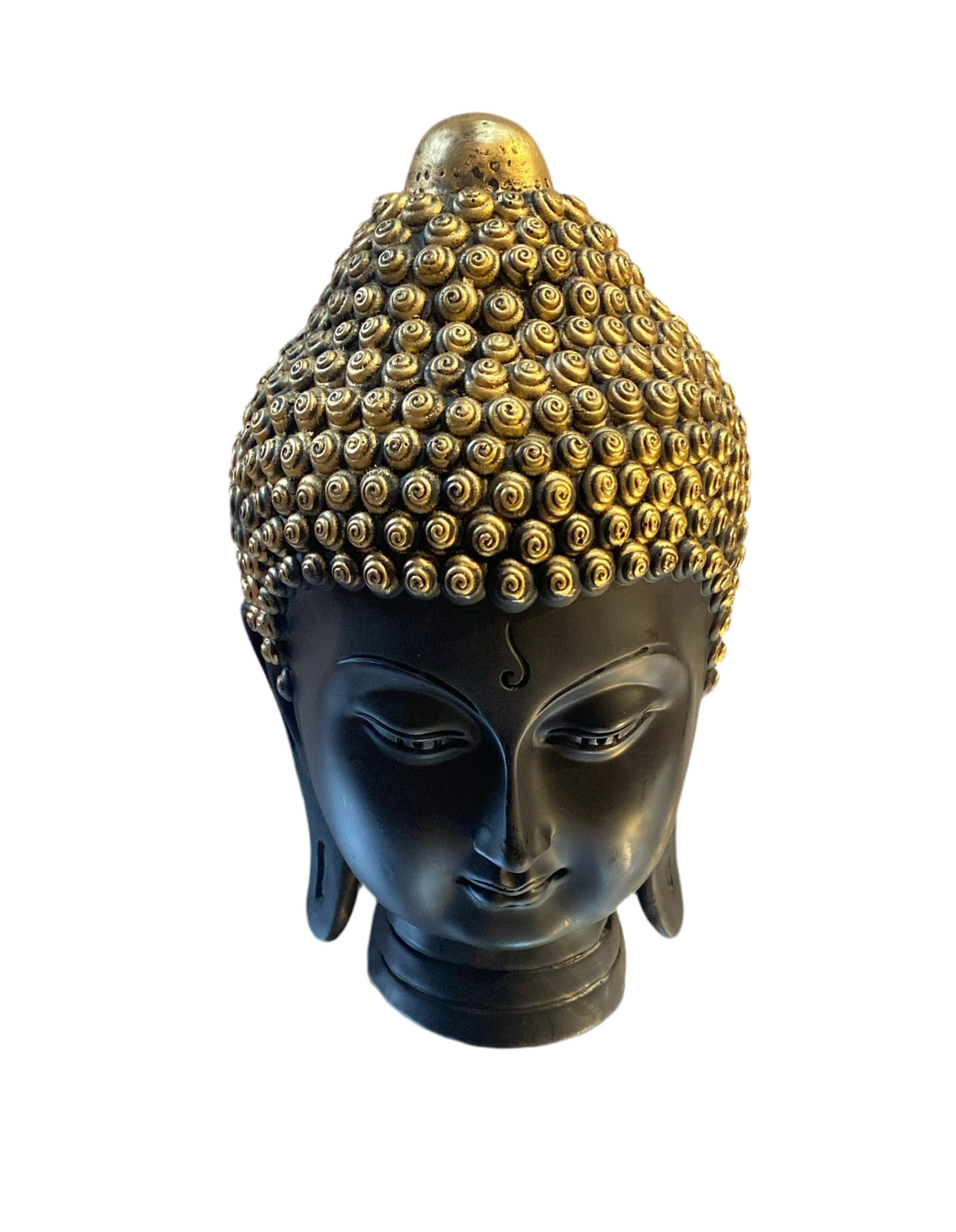 95budh (11inch)