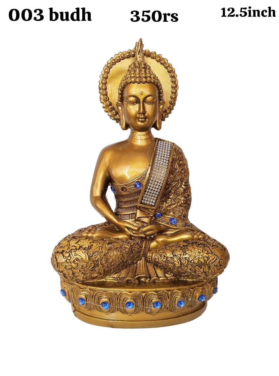 003 budh (12.5inch)