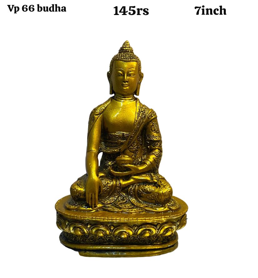 Vp66 budh(7inch)