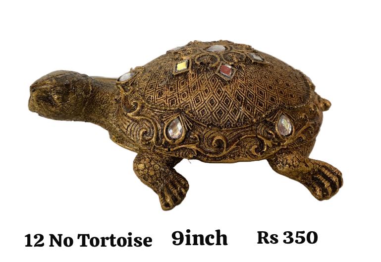 12 no toroise (9inch)