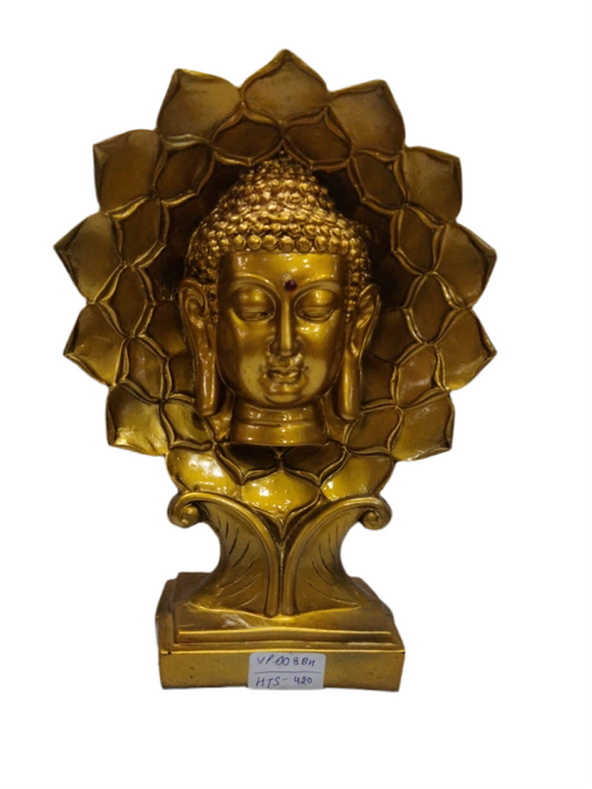 Vp008bh budh (10.5inch)