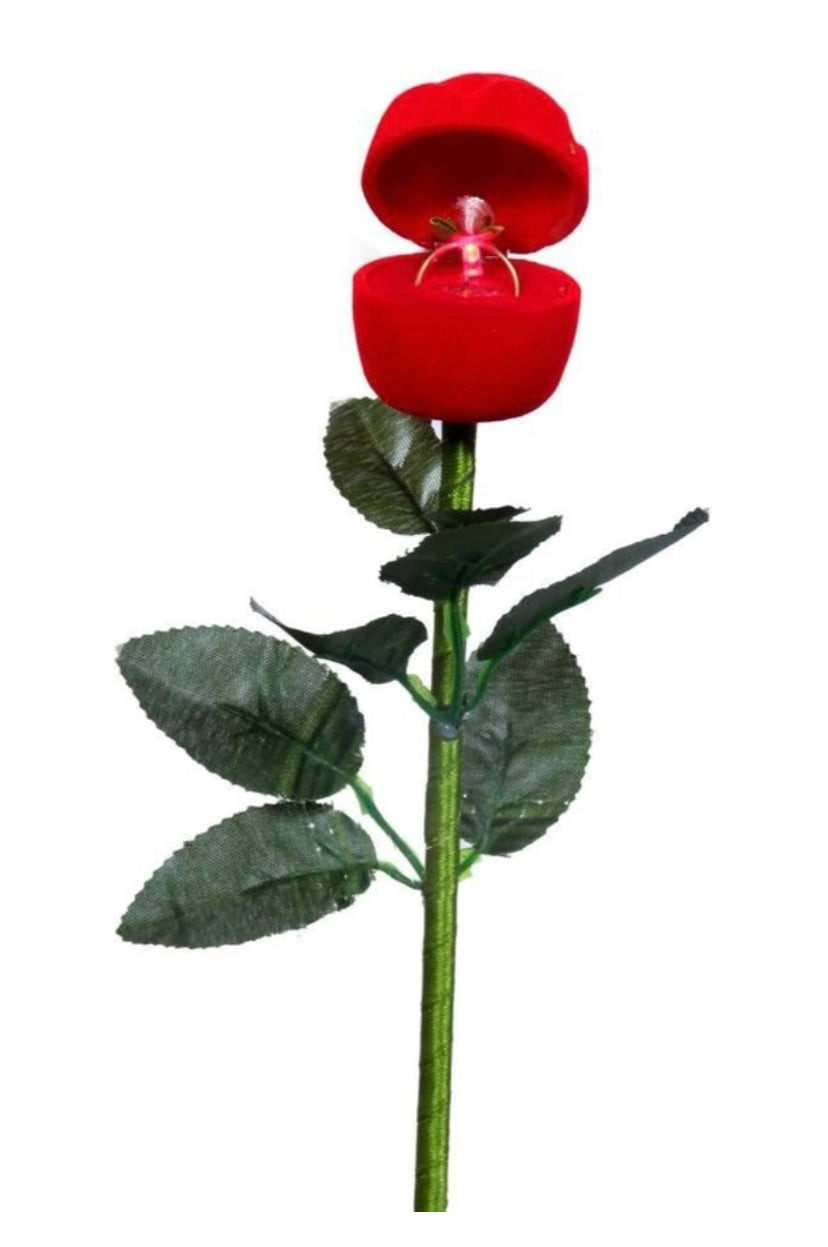 Om1463 musical ring box with light 9inch 12pc box