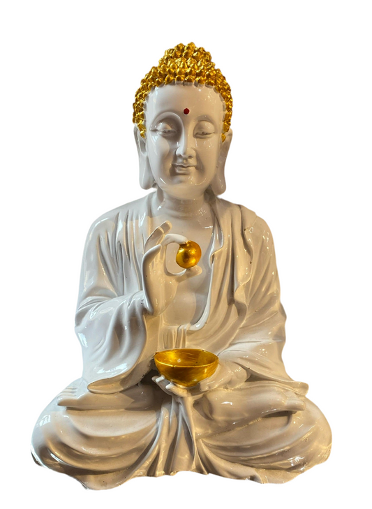 Lb goli budh med (14inch)