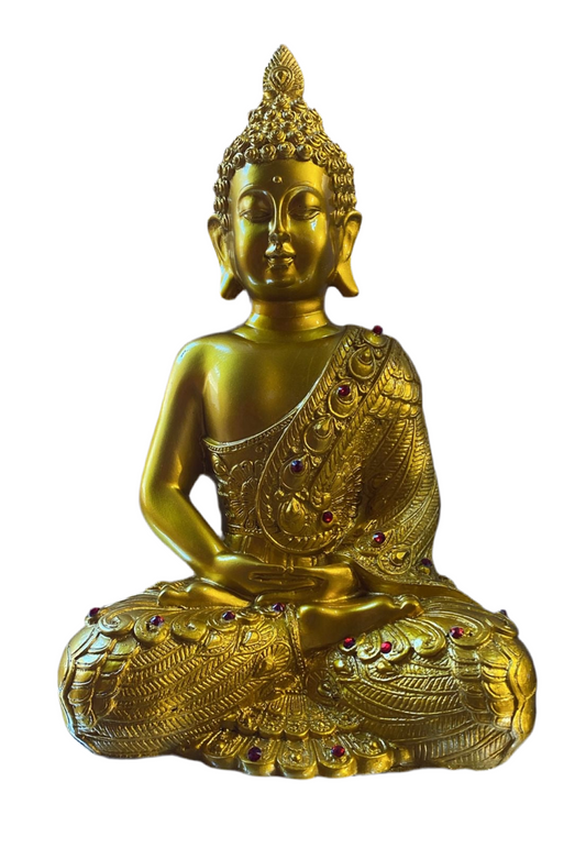Vp004bhc budh (12inch)