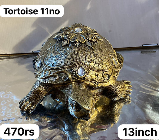 11no tortoise (13inch)