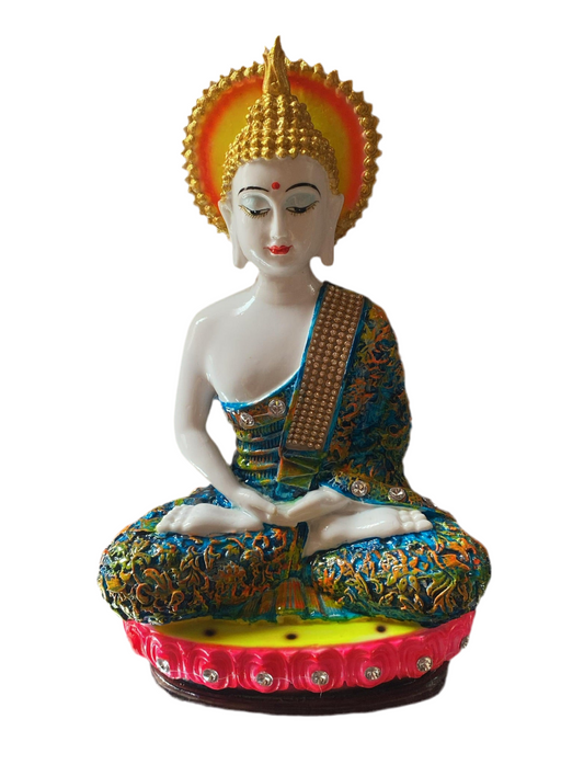 Chakra budh new colour (12inch)