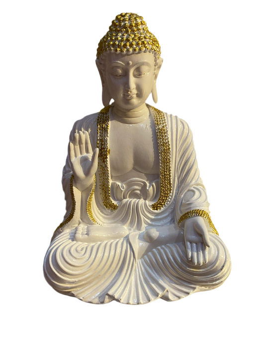 Lb 198 budh (10inch)