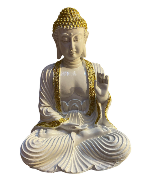 Lb 199 budh (9inch)