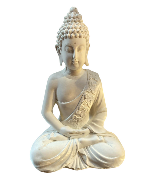 Wb 521 budh (11inch)