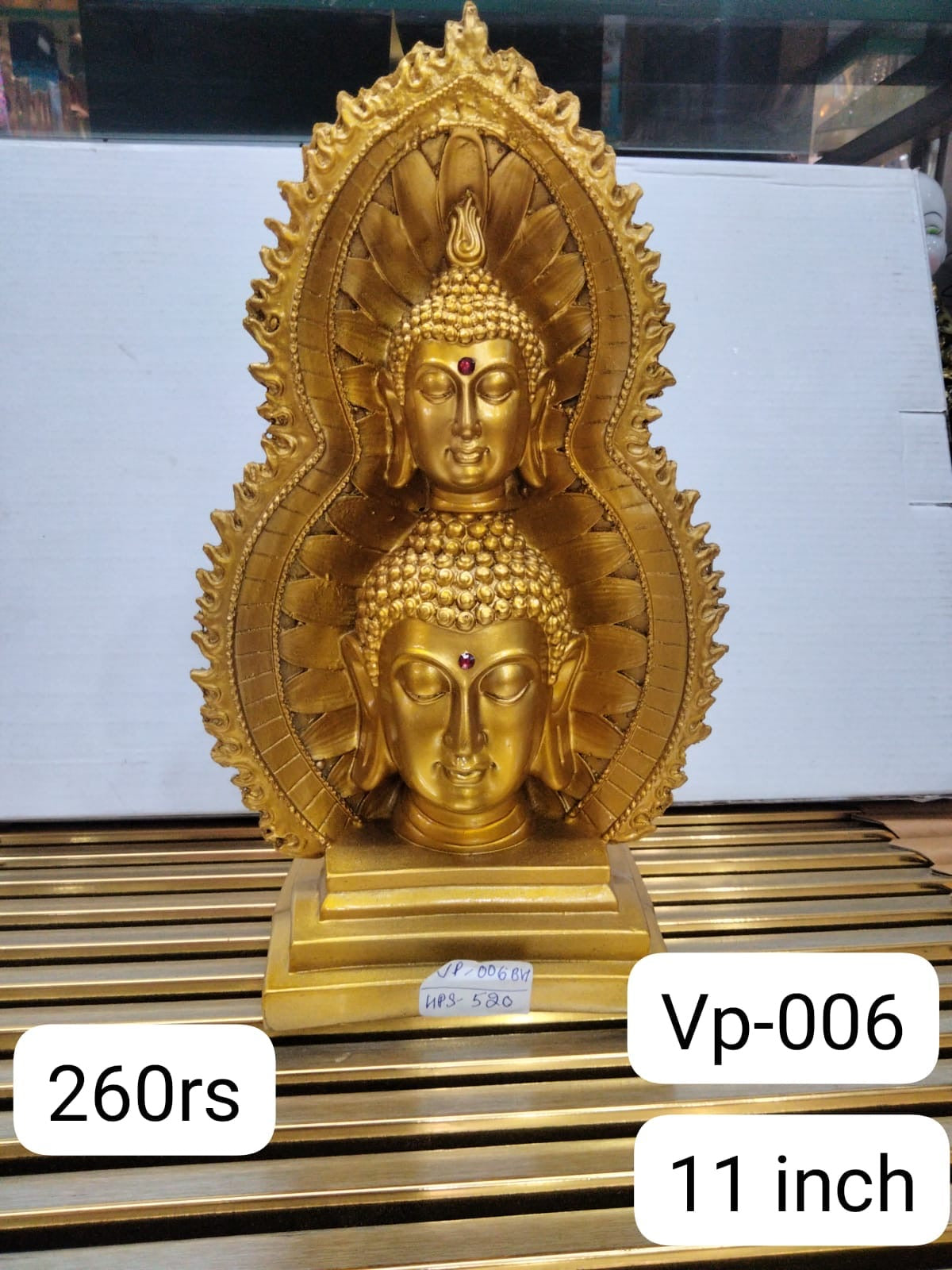 Vp006 (11inch)