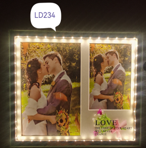 LD234 Led frame