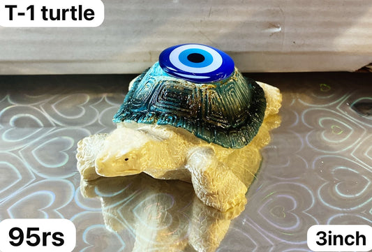 T 1 turtle