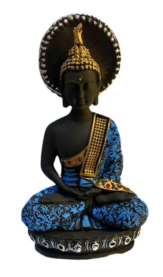Vp0020 budh (11inch)