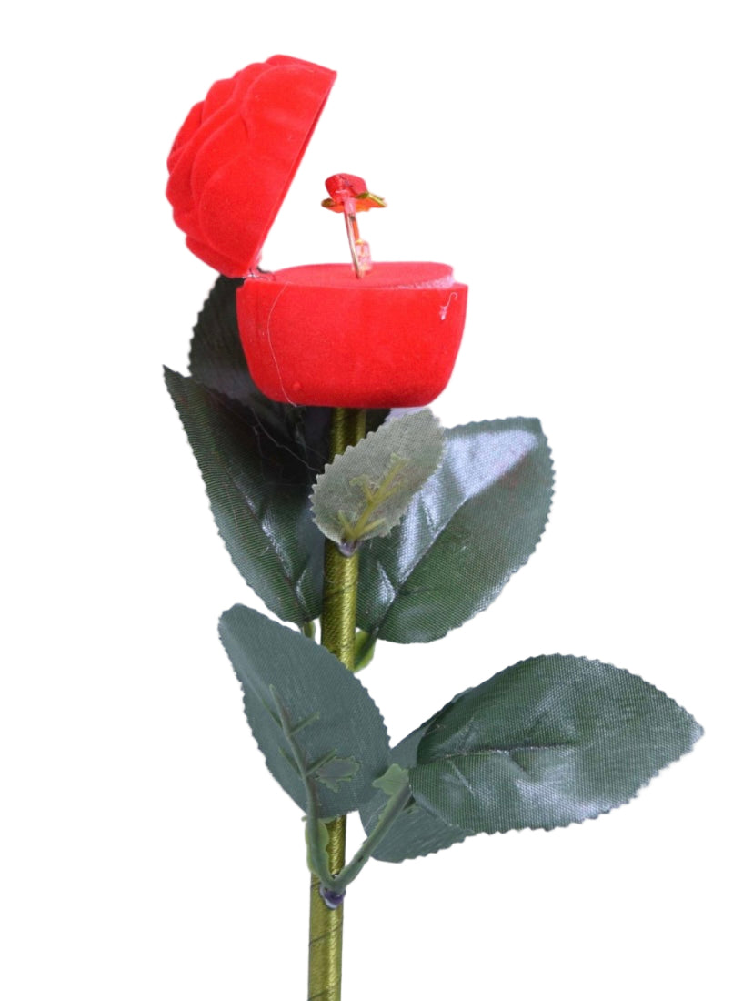 Om1463 musical ring box with light 9inch 12pc box