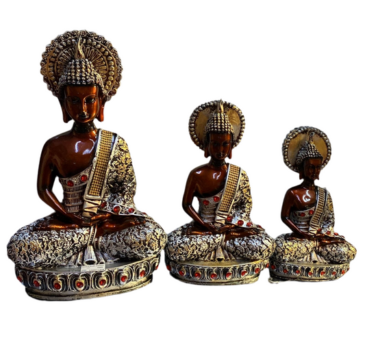 Chakra budh metalic 3pc set (16inch)