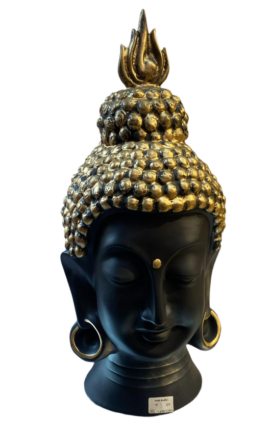 0048 budh (20inch)