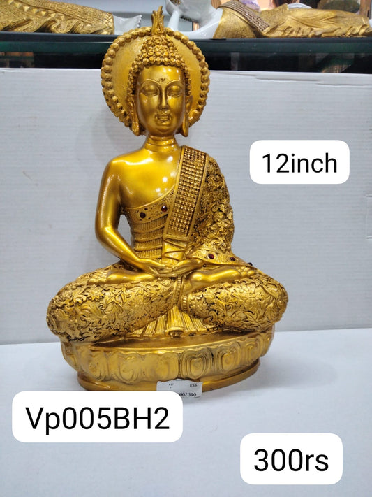 Vpoo5BH2 (12inch)