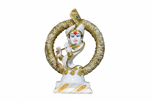 6854 krishna(12inch)