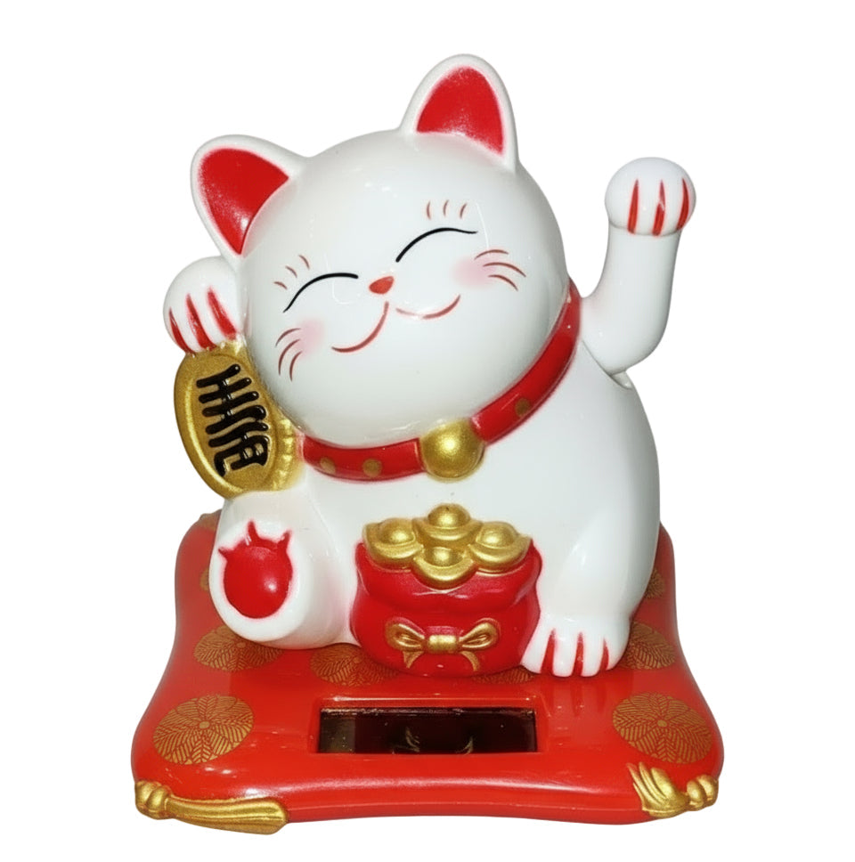 Cv791 solar cat(3inch)