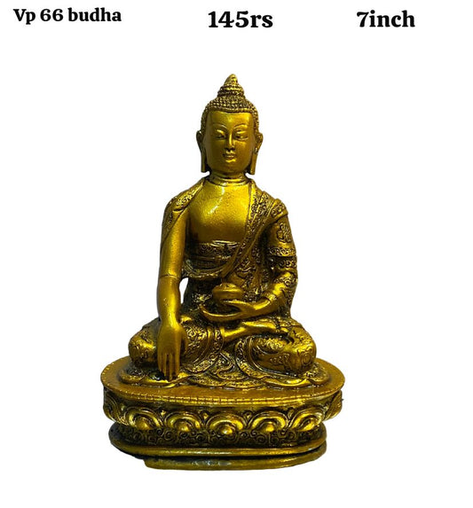 Vp66 budh(7inch)