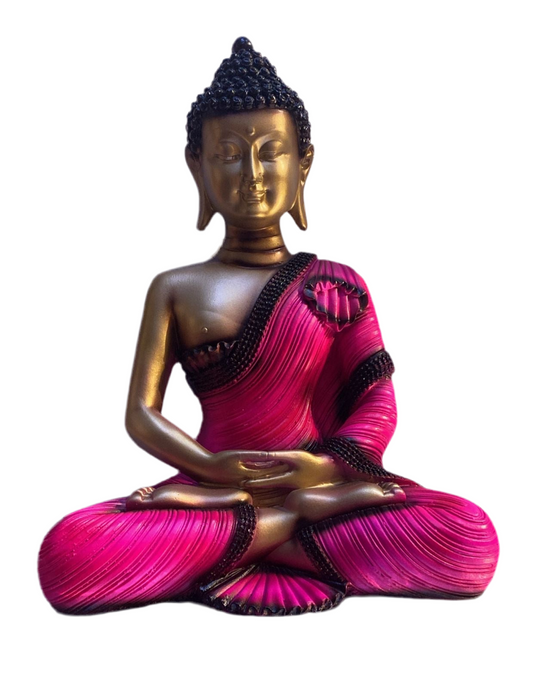 0093 budh (13inch)