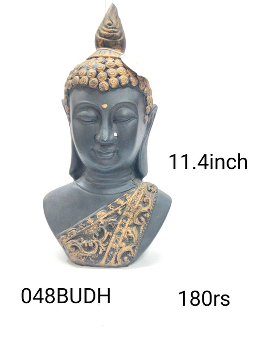 048 budh (11.4inch)
