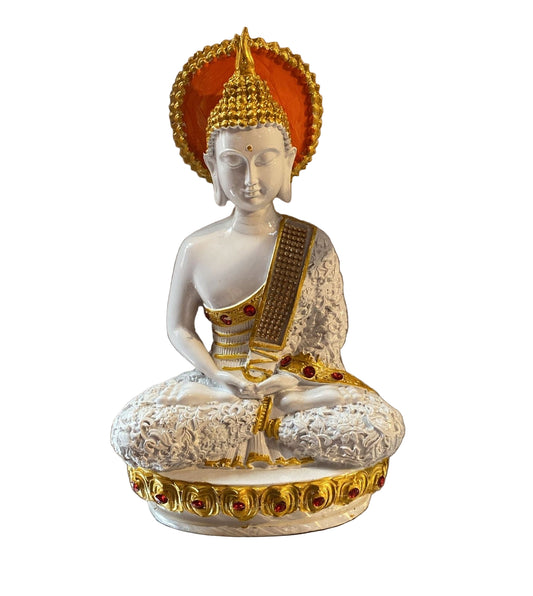 008 budh (12inch)
