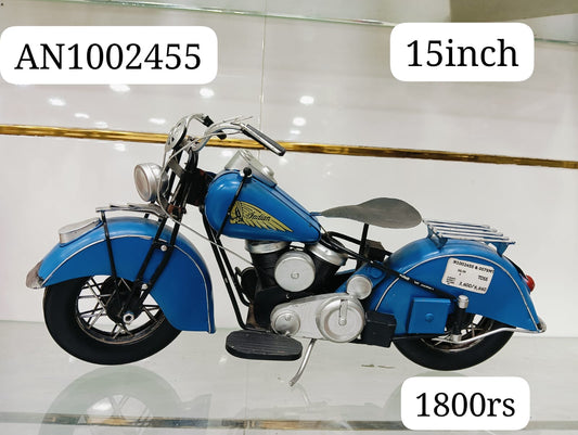 AN1002455 Metal bike ( 15inch )