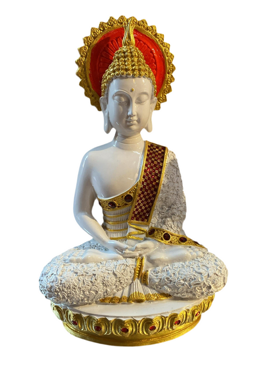 0089 budh (17inch)